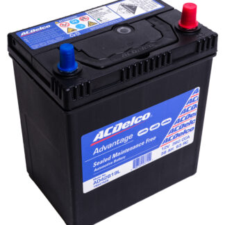 ACDelco AD42B19L Car Battery