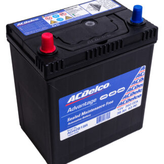 ACDelco AD42B19R Car Battery
